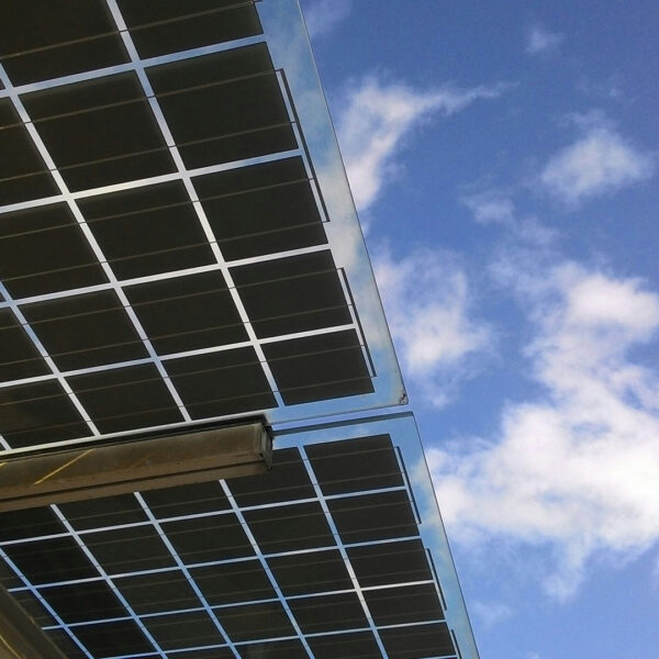 Sustainability-G03